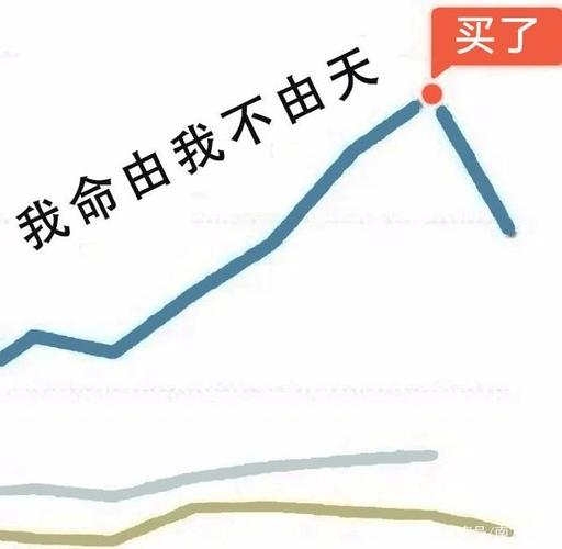 银华基金规模冲动_冲动买基金