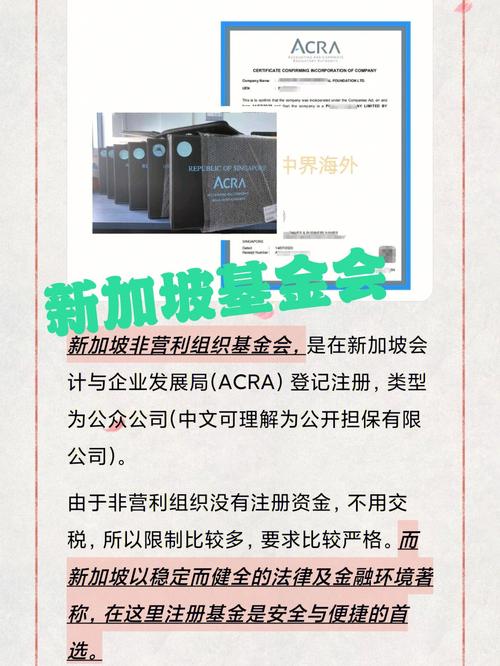 新加坡慈善基金会_新加坡基金会图片