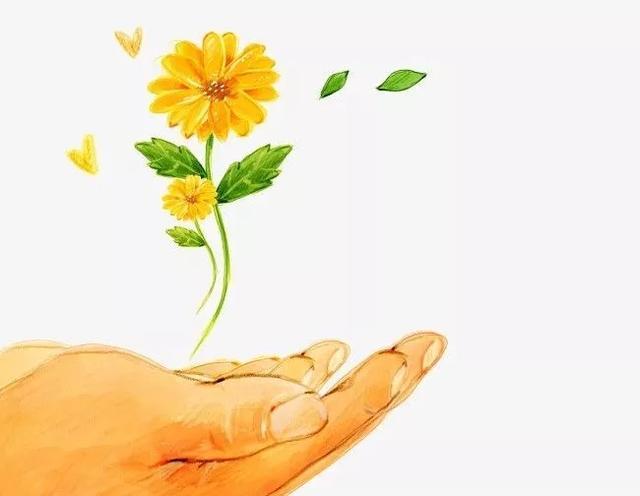 向阳花儿童医疗救助基金：照亮未来之路，关爱每一朵儿童希望之花_向阳花儿童医疗救助基金