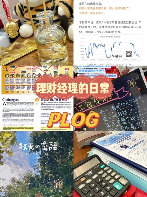 理财bp是什么意思_pl理财