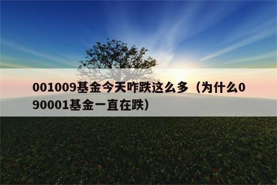 最近为什么基金一直跌_基金为什么又跌了