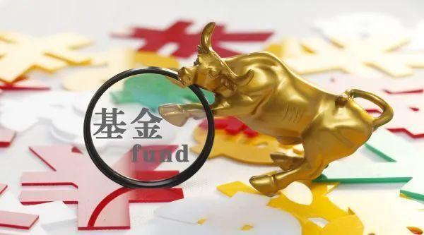 建信优化