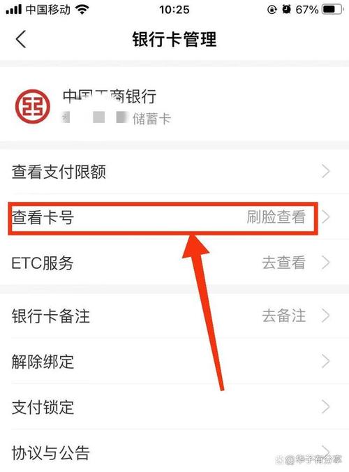 银行卡支行信息怎么查_短信如何查银行卡支行信息
