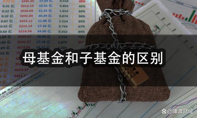 互联网母