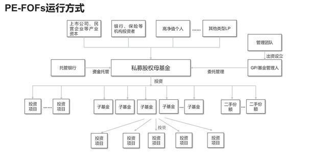 互联网母