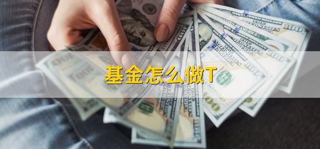 基金里做t是什么意思_什么基金做t