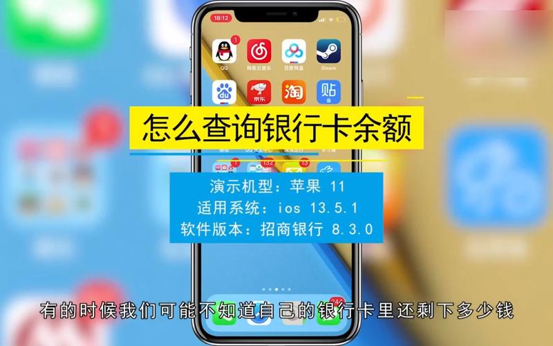 怎样查自己的银行卡余额_上网查自己的银行卡余额