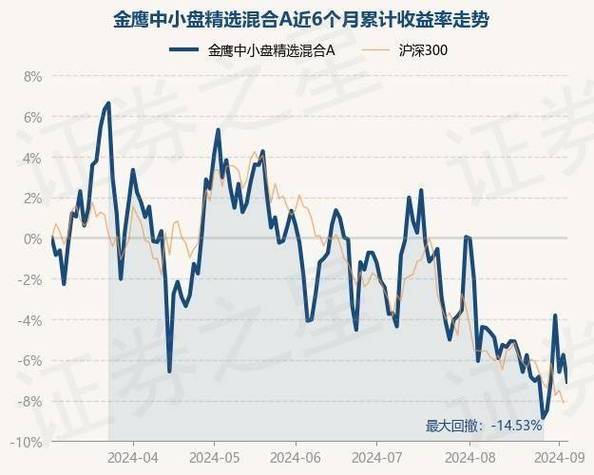 诺安中小盘基金净值_基金中小盘净值