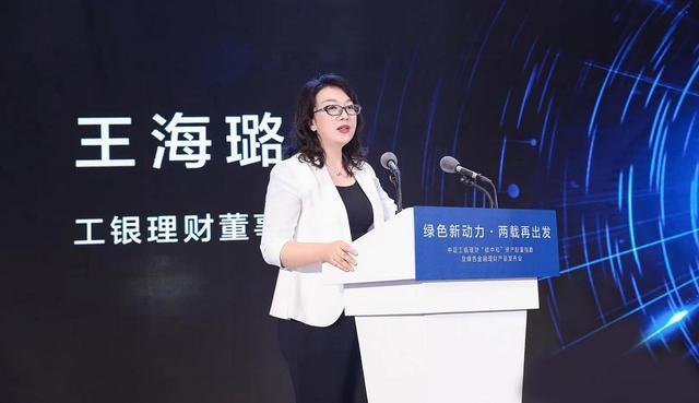 工银理财子王海璐：行业领军人物的深度解析_工银理财子王海璐