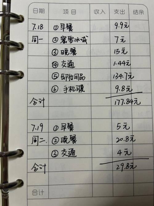 理财支出怎么记账_个人理财记账怎么写