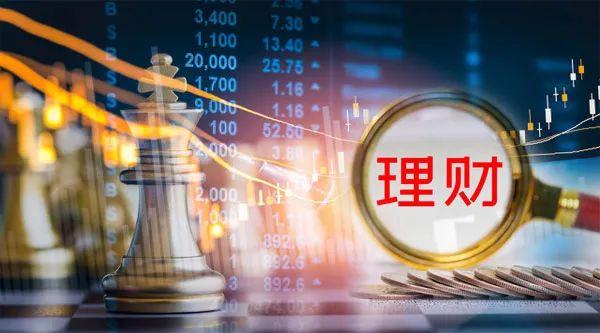 哪个公司
