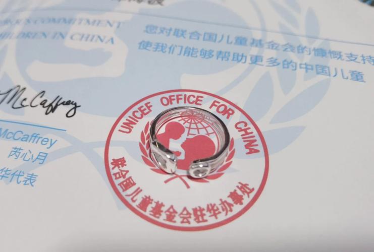 中国世界和平基金会是干什么的_中国世界和平基金会