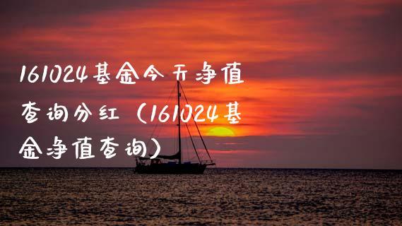 军工161024基金净值查询_161024基金净值查询