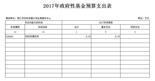 政府性基金预算支出科目_政府性基金 支出