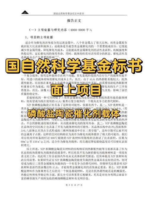 医疗国自然基金评语的重要性及其对项目发展的影响_医疗国自然基金评语