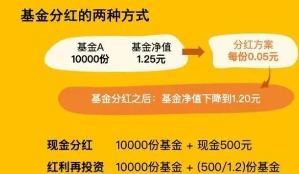 基金是什么意思通俗一点_基金子是什么意思