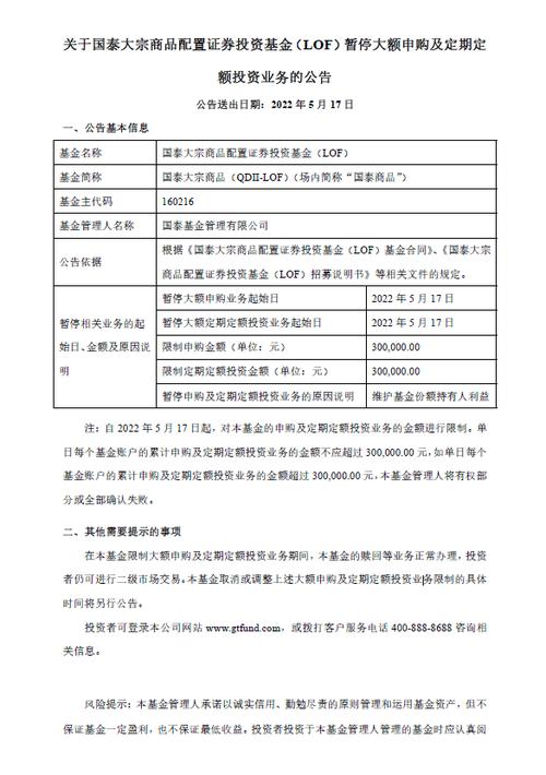 qdii基金购买条件_qdii基金申购金额