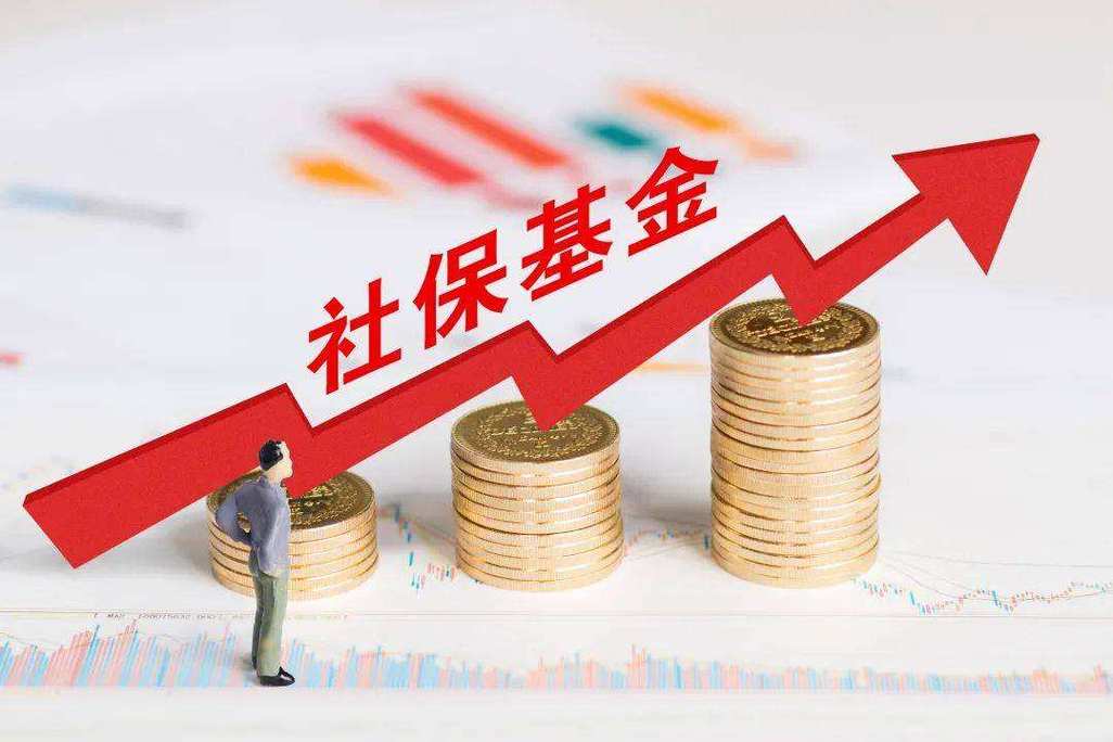 社保基金专项整治情况报告_社保基金专项整治措施