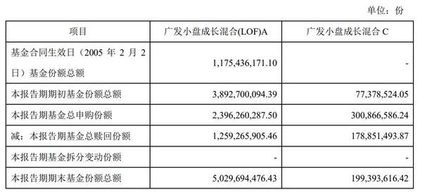 广发小盘成长基金净值_广发中小盘基金概况