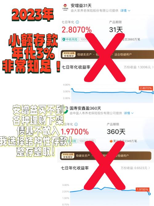 百惠宝理