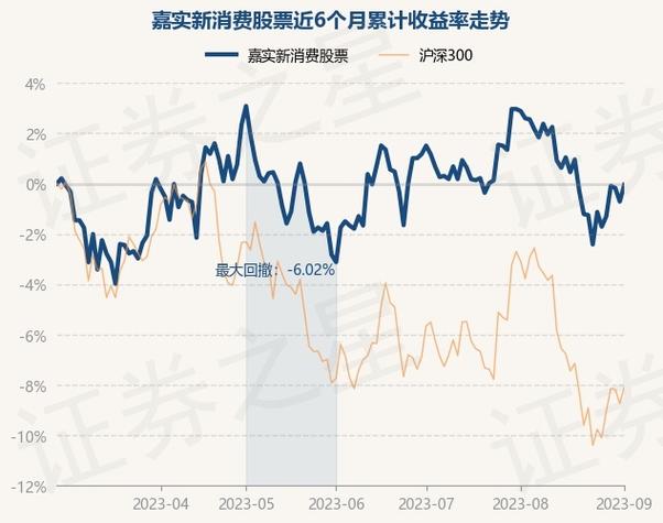 嘉实新消费股票基金净值查询_嘉实新消费基金净值
