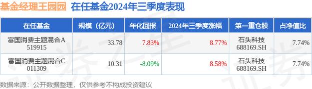 519915富国消费基金_天天基金519915