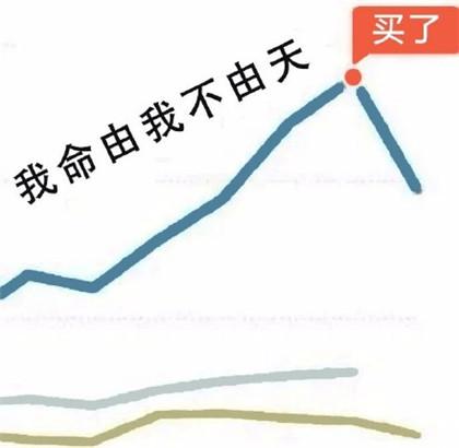 不懂基金的人怎么买基金_买基金不香
