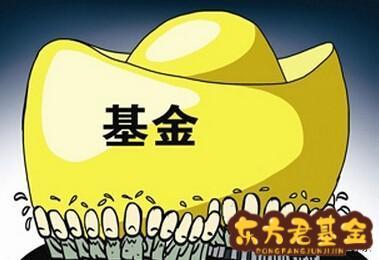 炒基金大
