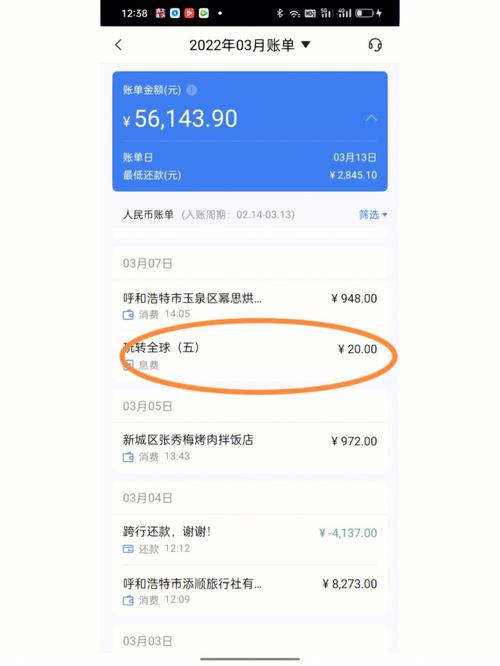 银行卡怎么看全年账单_银行卡怎样看年度账单总额