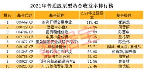 灵活配置混合型基金什么意思_可配置基金