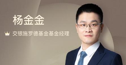 杨金金发
