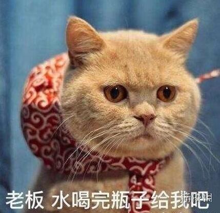 小白表情图片大全_基金小白表情图