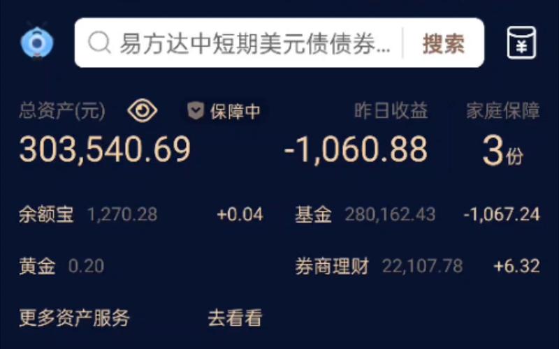 支付宝理