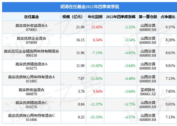 嘉实成长
