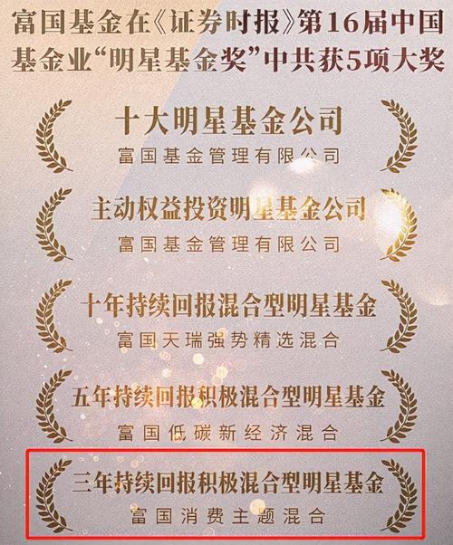 519915富国消费基金_基金519915