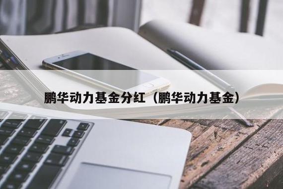 鹏华动力基金今日估值_鹏华动力基金如何