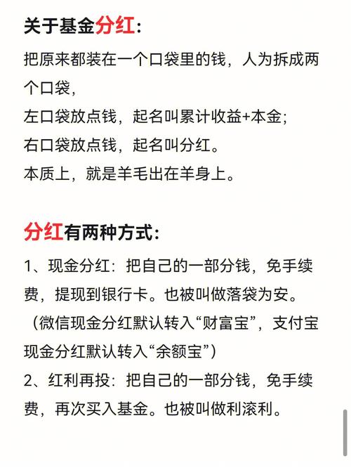 基金分红后为什么不能买入_基金分红转入
