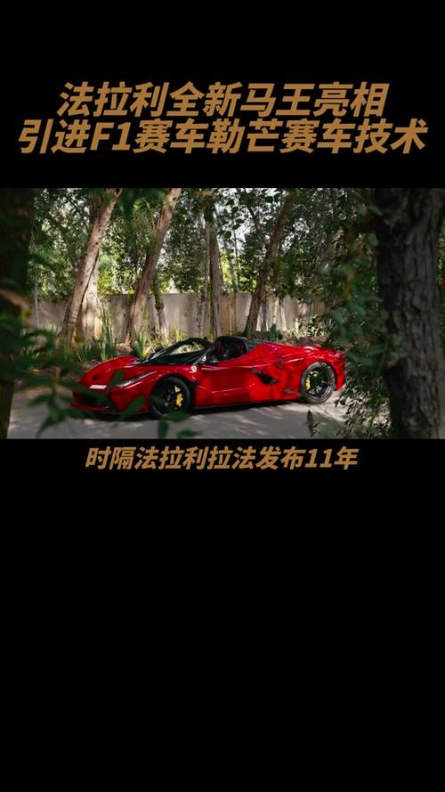 都江堰拉法基水泥_拉法基金