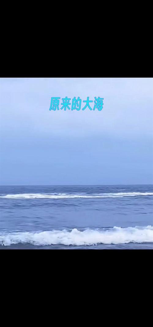 理财高手都是怎么理财的_大海说理财