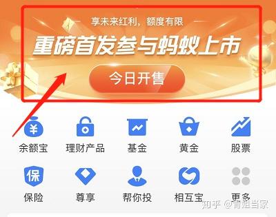 蚂蚁基金销售有限公司是支付宝吗_支付宝基金配售蚂蚁