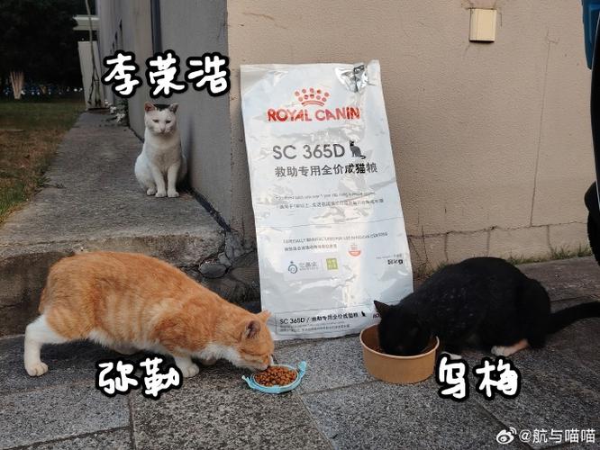 它基金联系方式_领养它基金