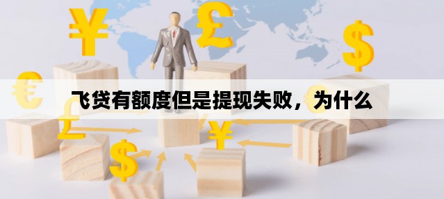 飞贷有额度但是提现失败，为什么