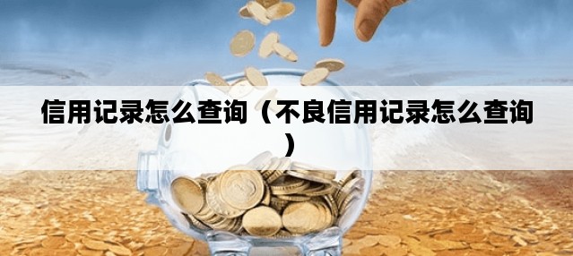 信用记录怎么查询（不良信用记录怎么查询）