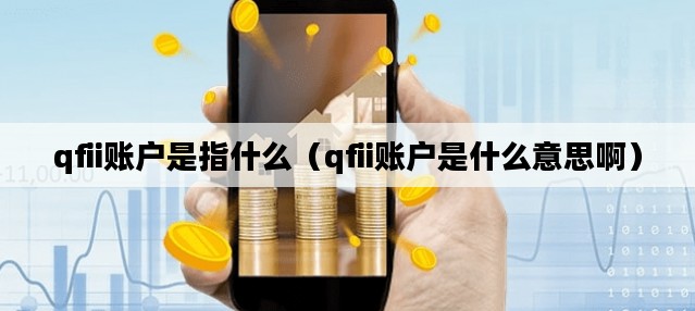 qfii账户是指什么（qfii账户是什么意思啊）