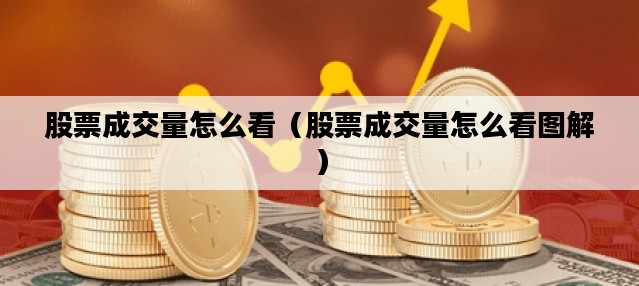 股票成交量怎么看（股票成交量怎么看图解）