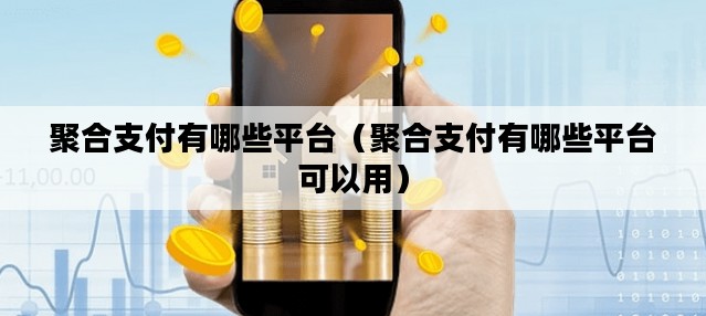 聚合支付有哪些平台（聚合支付有哪些平台可以用）