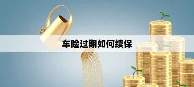 车险过期如何续保