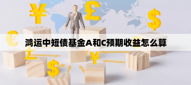 鸿运中短债基金A和C预期收益怎么算