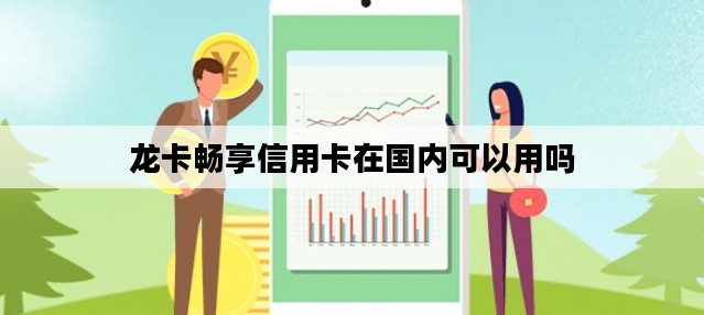 龙卡畅享信用卡在国内可以用吗