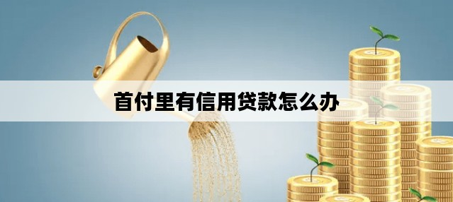 首付里有信用贷款怎么办
